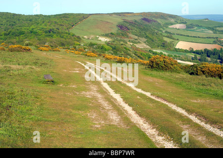 Tennyson Trail, sentiero, nel paesaggio Downs, Sopra Brook, Isle of Wight, England, Regno Unito, GB. Foto Stock