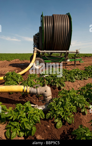 Il rubinetto a maschio su un waterwheel viaggio sistema di irrigazione Kelso Scottish Borders Foto Stock