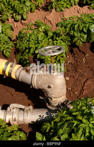 Il rubinetto a maschio su un waterwheel viaggio sistema di irrigazione Kelso Scottish Borders Foto Stock