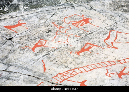 Antiche incisioni rupestri (incisioni rupestri) in Alta, Norvegia Foto Stock