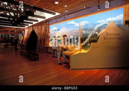 I visitatori la visualizzazione compare nella Foresta Gigante Museo Sequoia National Park California Foto Stock