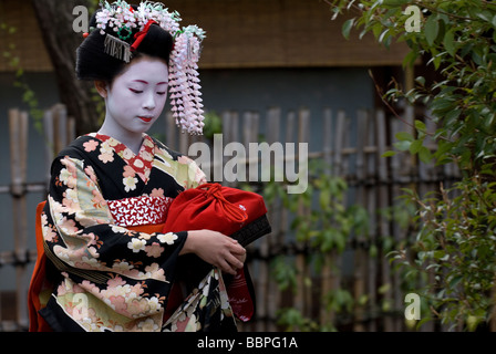 Un apprendista geisha o maiko, camminando lungo una stradina in Kyoto Shimbashi quartiere di Gion. Foto Stock