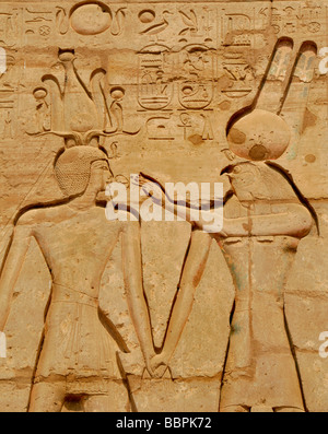 Alto Egitto Luxor W Banca la Valle dei Re Il Ramesseum temple view delle enormi colonne scolpite Foto Stock