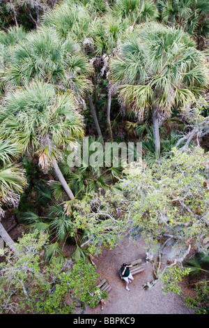 Un visitatore si siede su un banco di seguito come si vede dalla tettoia torre di avvistamento a Myakka River State Park in Florida Foto Stock