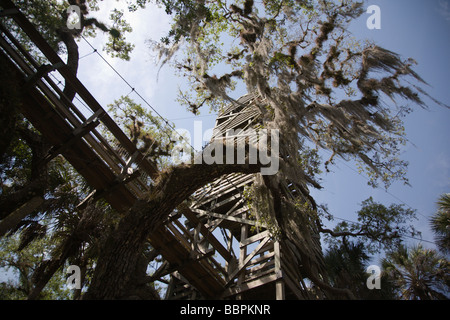 Un pontile conduce ad una torre di avvistamento al Myakka River State Park in Florida. Foto Stock