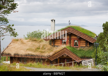 Vecchia casa norvegese con erba sul tetto vicino al fiordo Foto Stock