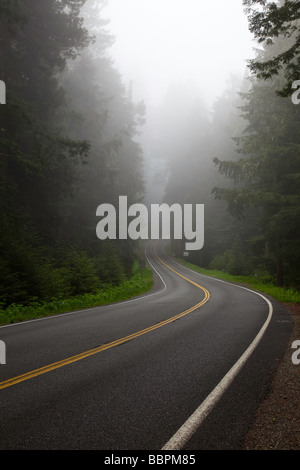 La nebbia offusca la carreggiata nel Parco Nazionale di Redwood in California Foto Stock