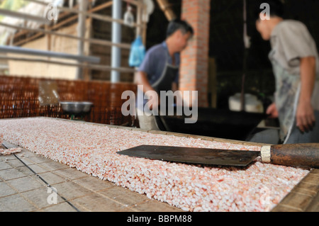 Gli uomini la preparazione di riso soffiato dolci, pasticceria fabbrica, Vinh Long, Delta del Mekong, Vietnam, sud-est asiatico Foto Stock