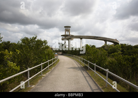 La Valle di squalo torre di osservazione in Everglades National Park si trova a 8-10 chilometri a sud del Shark Valley Visitor Center Foto Stock