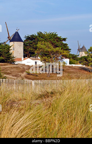 Il BARBATRE MILLS, isola di Noirmoutier, VENDEE (85), Francia Foto Stock