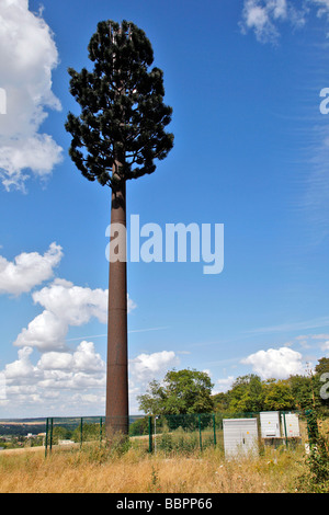 Un palo telefonico mimetizzata in un falso albero, Anett, EURE-ET-LOIR (28), Francia Foto Stock