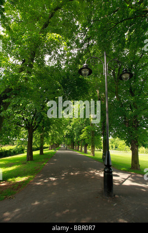 Le passeggiate in King's Lynn, Norfolk. Foto Stock