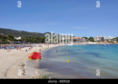 Platja des carregador, Palmanova, Calvia comune, Maiorca, isole Baleari, Spagna Foto Stock