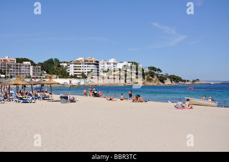 Platja des carregador, Palmanova, Calvia comune, Maiorca, isole Baleari, Spagna Foto Stock