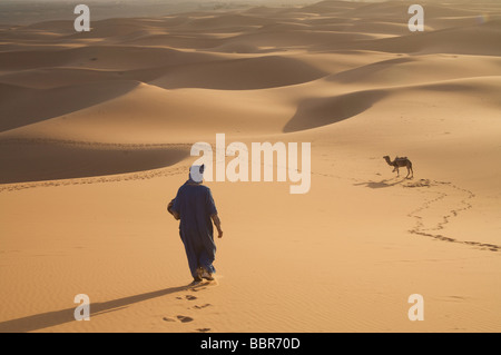 Un pastore va a raccogliere il suo cammello nel deserto del Sahara, Erg Chebbi dune di sabbia, Merzouga, Marocco, Africa del nord Foto Stock