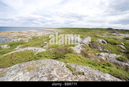 La Svezia in estate, Hallands vadero. Foto Stock