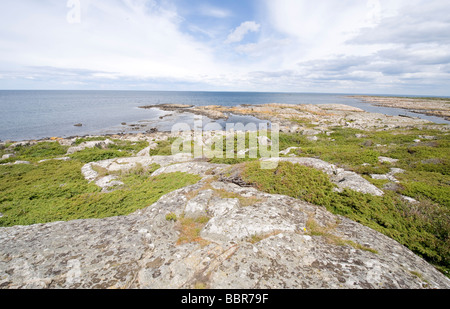 La Svezia in estate, Hallands vadero. Foto Stock