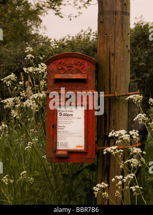 Red english postbox in una posizione rurale attahced ad un palo del telegrafo Foto Stock