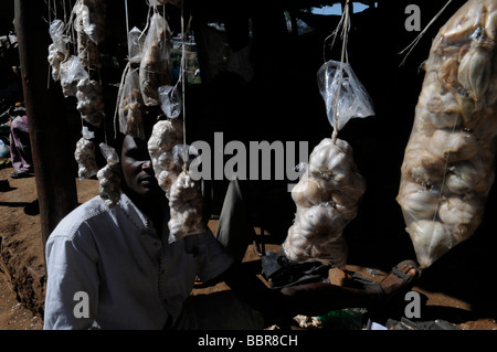 Pila di aglio appeso al mercato di verdure a Lilongwe capitale del Malawi in Africa Foto Stock