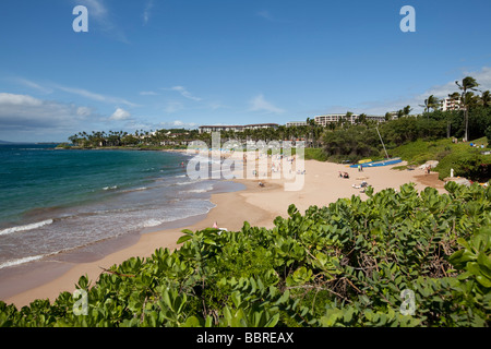 Il Wailea Beach Maui Hawaii Foto Stock