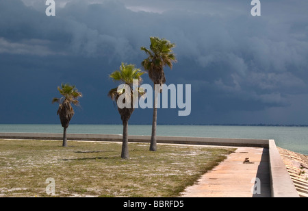 Fort De Soto Park Florida USA Foto Stock