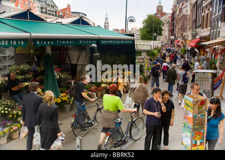 Il Bloemenmarkt, un mercato dei fiori di Amsterdam, Paesi Bassi Foto Stock