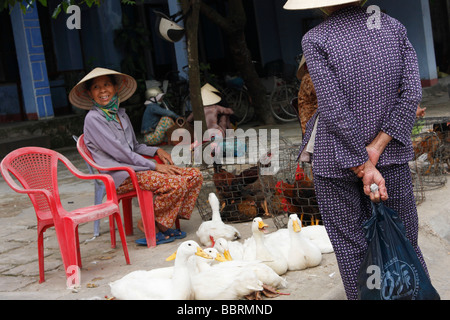 Donna vietnamita vendita anatre live sulla pavimentazione stradale, 'Hoi An', Vietnam Foto Stock