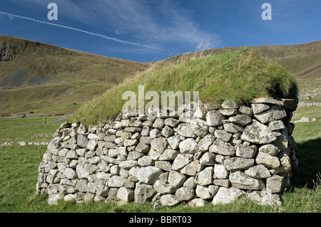 Uno dei più di mille cleitan sulla St Kilda, Scozia; cleits venivano utilizzati per conservare gli alimenti. Foto Stock