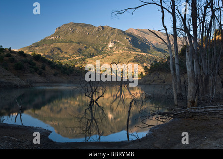 Alberi annegato nel Embalse de Zahara - El Gastorat crepuscolo in provincia di Cadice, Andalusia, Spagna. Foto Stock