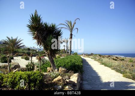 Sentiero costiero vicino a Paphos, Cipro, vicino al Akti Beach Hotel Foto Stock