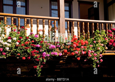 Balcone con fiori di una casa rurale nel villaggio di Mogrovejo Shire di Liebana Picos de Europa Cantabria Spagna Foto Stock