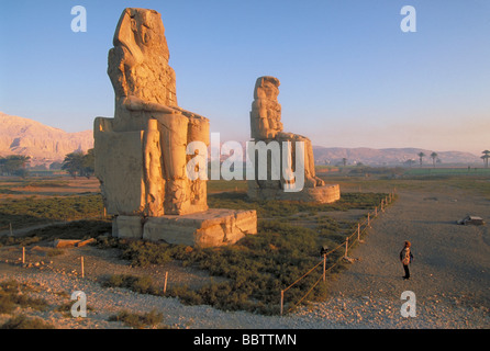 Elk157 2875 EGITTO Luxor Tebe Colossi di Memnon xiv c BC Amenotep III Foto Stock