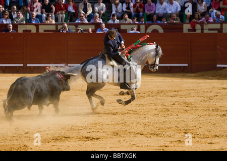 Corrida Rejones Jerez de la Frontera in Andalusia Foto Stock