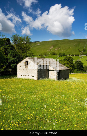 Fienile in pietra tra estate fiori di fieno/prato vicino Kettlewell Wharfedale Yorkshire Dales REGNO UNITO Foto Stock