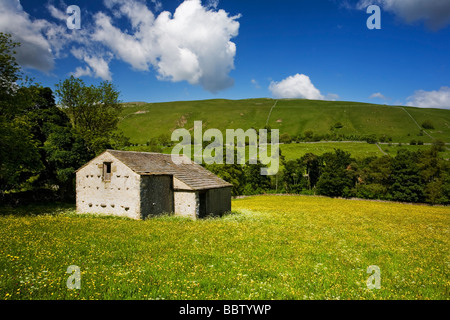 Fienile in pietra tra estate fiori di fieno/prato vicino Kettlewell Wharfedale Yorkshire Dales REGNO UNITO Foto Stock