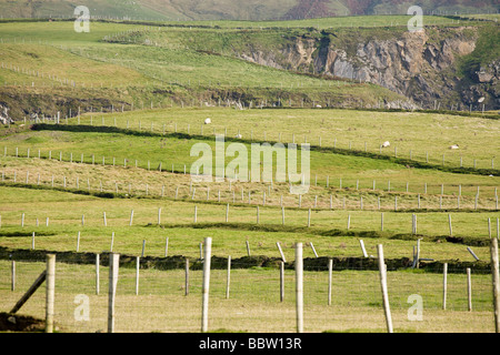 Recinzioni. Una serie di recinzione di legno posti suddividere i terreni da pascolo e mantenere le pecore fuori le scogliere. Foto Stock