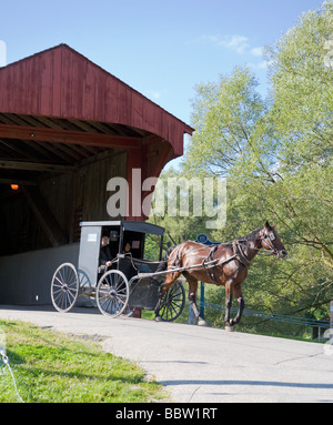 Cavallo e buggy sul ponte coperto. Un vecchio menonite buggy attraversa il vecchio West Montrose ponte coperto. Foto Stock