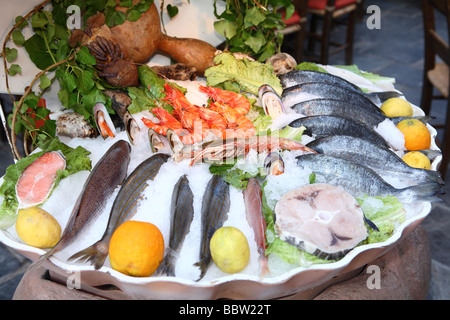 Il display di frutti di mare al di fuori di una taverna greca in Creta Grecia Foto Stock