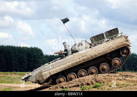 Serbatoio scuola di pilotaggio per i turisti, BMP veicolo blindato, Steinhoefel, Brandeburgo, Germania, Europa Foto Stock