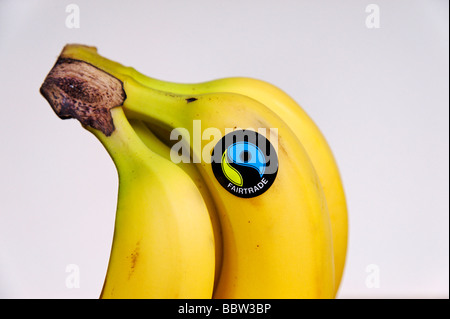 Dettaglio del Fairtrade logo sulle banane biologiche REGNO UNITO Foto Stock