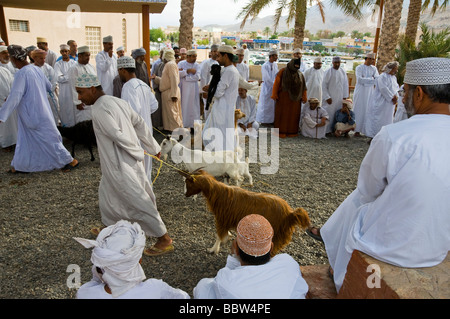 Mercato di capra Nizwa Sultanato di Oman Foto Stock