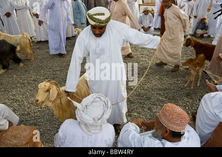 Mercato di capra Nizwa Oman Foto Stock