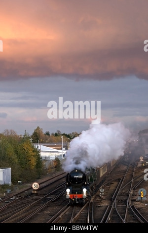 "Linea del clan dei capi il 'Orient Express' Pullman Treno nord attraverso Tonbridge, Kent, Inghilterra. Foto Stock