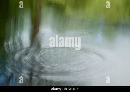 Un cerchio di ripple in un fiume con un albero di riflessione. Sfumata per effetto artisitic Foto Stock