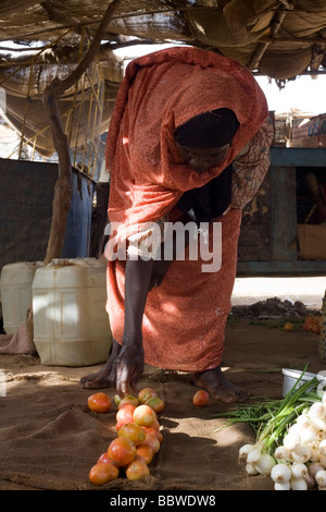 Kalthoum Ibrahim Flamid, 45, residente di sei anni in 4 sq km Abu Shouk Refugee Camp di Al Fasher, Nord Darfur, Sudan Foto Stock