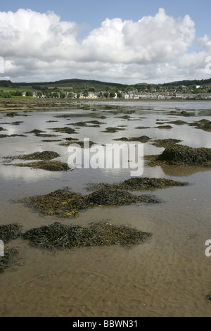 Lochgilphead, Scozia. Marea bassa vista guardando verso nord sul Loch Gilp verso le rive della cittadina Scozzese, Lochgilphead. Foto Stock