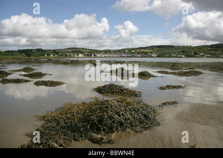 Lochgilphead, Scozia. Marea bassa vista guardando verso nord sul Loch Gilp verso le rive della cittadina Scozzese, Lochgilphead. Foto Stock