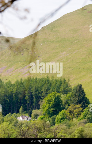 Ettrick Paludi - di proprietà della Commissione Forestale e gestito dai confini della foresta di fiducia per conservare gli habitat di aree inondabili Foto Stock