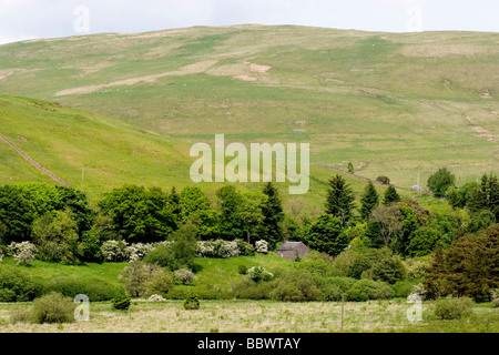 Ettrick Paludi - di proprietà della Commissione Forestale e gestito dai confini della foresta di fiducia per conservare gli habitat di aree inondabili Foto Stock