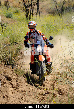 Dualsort pilota in un sentiero sterrato Foto Stock